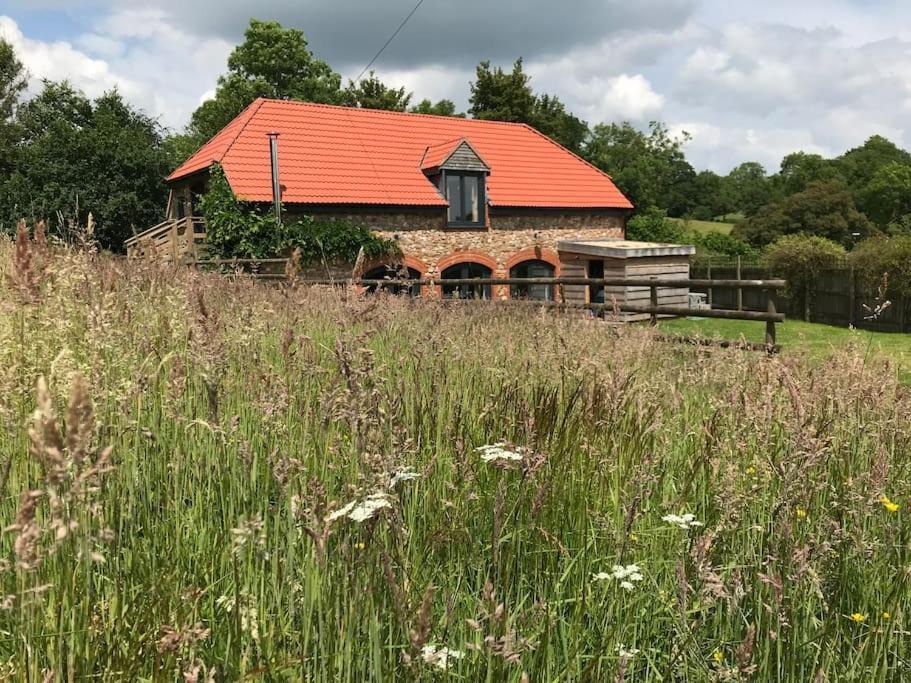 Willa Burleyhayes Barn - Secluded Devon Hideaway. Hemyock Zewnętrze zdjęcie
