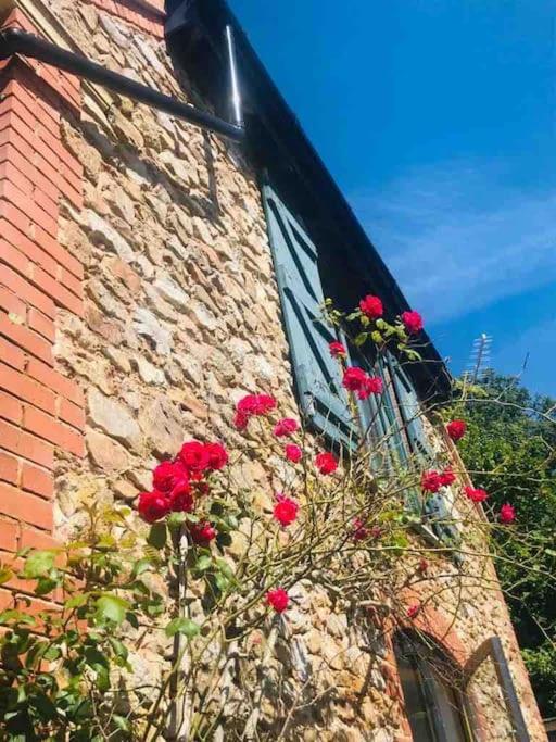 Willa Burleyhayes Barn - Secluded Devon Hideaway. Hemyock Zewnętrze zdjęcie