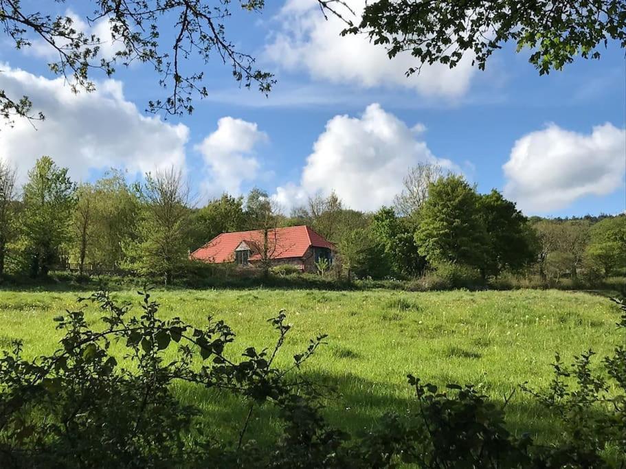 Willa Burleyhayes Barn - Secluded Devon Hideaway. Hemyock Zewnętrze zdjęcie